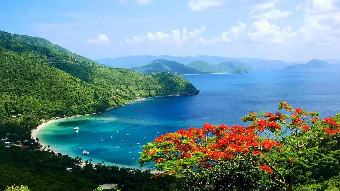 高性能高端精密
